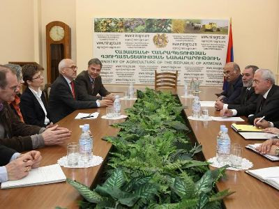 Քննարկվել են GIZ-ի համատեղ ծրագրերն անտառների կառավարման ոլորտում (ֆոտո)