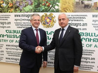 Գյուղնախարարը՝ EIB-ի փոխնախագահին. Պետք է նաեւ գյուղոլորտի ծրագրեր մշակել