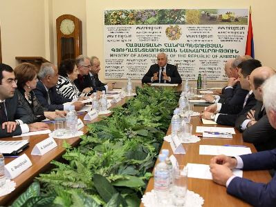 Հայաստանում հացահատիկի ցանքատարածությունները ավելացել են