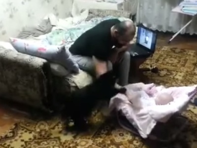 Կատուն փոքրիկին փրկում է խիստ հորից