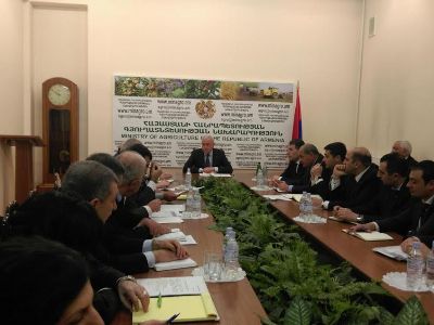 Տեղացող ձյունն ու անձրեւն բերքին վնաս չեն տա. գյուղատնտեսության փոխնախարար