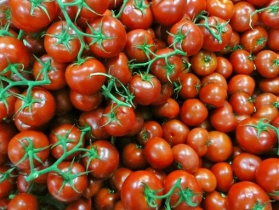 Փոխնախարարը վստահեցրել է, որ հայ գյուղացիները չեն զգուշանում թուրքական լոլիկից
