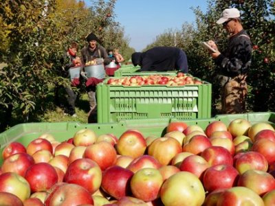ՌԴ-ում գյուղացի միգրանտներին առաջարկում են ազատել պարտադիր քննությունից