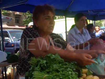 Այս տարի ծիրանն էժան կլինի. գյուղացիները գոհ են բերքից