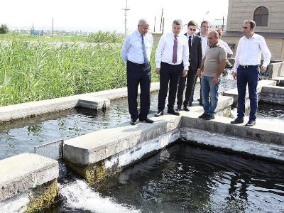 Georgia ministry: Armenia has high-level agricultural sector