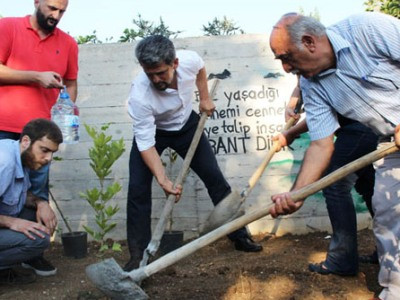 Թուրքիայում հայ պատգամավորը զոհված 32 երիտասարդների համար 32 ծառ է տնկել «Քամփ Արմեն»-ում