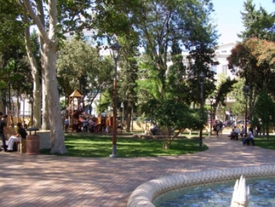 Բաքվում սիզամարգերի վրա թույն են լցնում