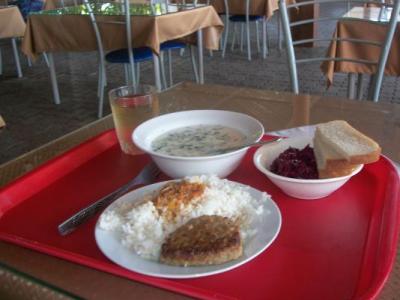 «Կայուն դպրոցական սնունդ ծրագրում» ընդգրկված է ավելի քանի 22 հազար աշակերտ