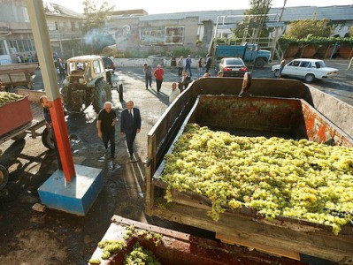 Վայոց ձորում խաղողագործները բողոքում են մթերման գնից. փոխնախարար
