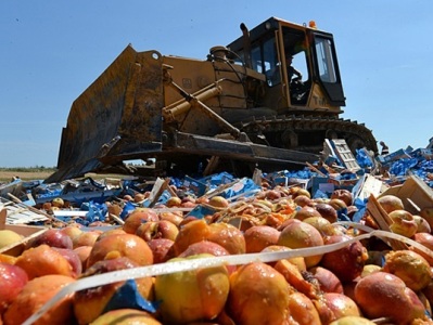 Օգոստոսից ի վեր Ռուսաստանում պատժամիջոցների ցանկում հայտնված 767 տոննա արտադրանք է ոչնչացվել