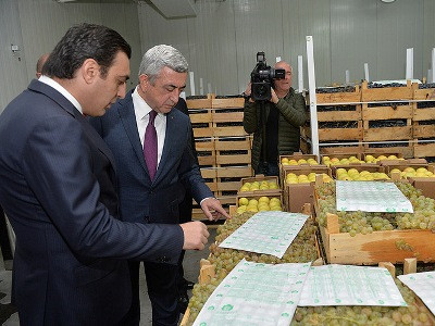 Գործարար. Հայաստանում սկսում են Եվրոպական ստանդարտներին համապատասխանող մրգեր աճեցնել (ֆոտո)