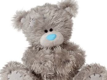 Teddy արջուկների արտադրողը 48 հայց է ներկայացրել Բաշկիրիայի գործարարների դեմ