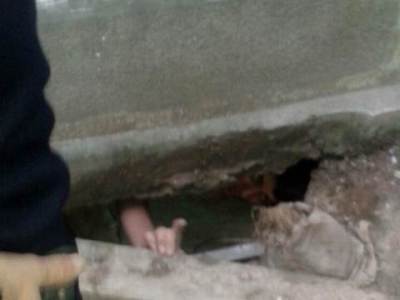 Turkey teen enters tomb to steal deceased’s gold tooth, but could not get out
