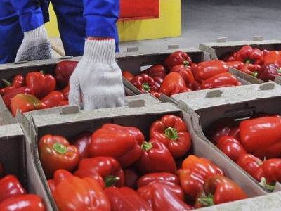 Թուրքիա եւ Ռուսաստան. փոխադարձ հարված շահերին