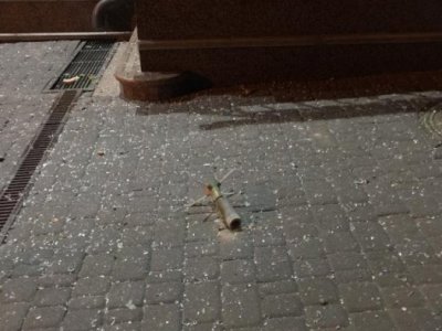 Kyiv building pelted from grenade launcher