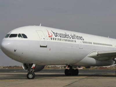 Բրյուսելում օդանավը հարկադիր վայրէջք է կատարել թռչունի պատճառով
