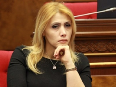 Էթիկան խախտող պատգամավորի նկատմամբ պատասխանատվություն կիրառել դեռեւս հնարավոր չէ. Էլինար Վարդանյան