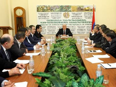 Գյուղնախարարը հորդորել է մինչեւ ապրիլի 1-ն ավարտել մթերված խաղողի վճարումների կատարումը