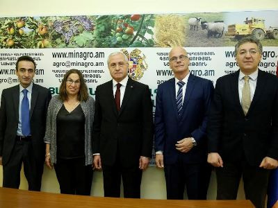 Գյուղատնտեսության ոլորտում Հայաստանի եւ Իսրայելի միջեւ առկա է չիրացված մեծ ներուժ. նախարար
