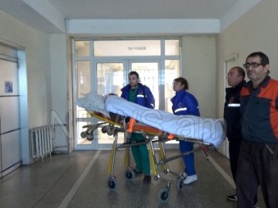 Սխալ է ասել, որ գայլը հարձակվել է կնոջ վրա, թիրախն անասնագոմի կենդանիներն են եղել. բնապահպան