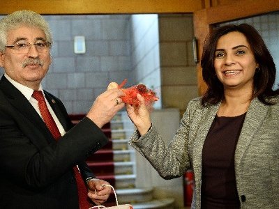 Թուրքիայի մեջլիսում հայ պատգամավորը ձու է «կռվացրել» (ֆոտո)
