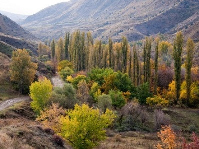 «Խոսրովի անտառի» աղմկահարույց որսագողության գործով դատախազը փոխվել է