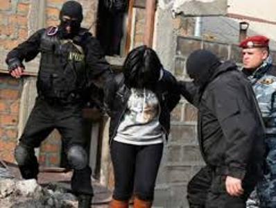 «Զինված խմբի» գործով կալանավորված Ասյա Մկրտչյանը գրավի դիմաց ազատ կարձակվի