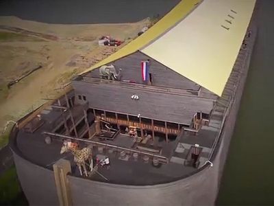 «Նոյան տապանը» կարող է Նիդեռլանդներից Բրազիլիա ուղեւորվել