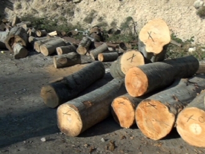 Ոստիկանությունը հայտնաբերել է ապօրինի գործող փայտի արտադրամասեր