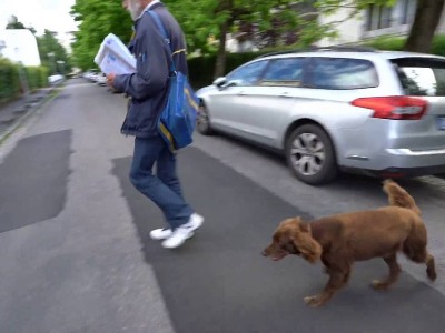 Փոստատարի ու նրա շան պատմությունը հուզել է Ֆրանսիային