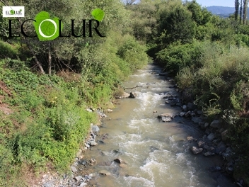 Խախտվել է ջրից օգտվելու իրավունքը, բողոքում են Շնող եւ Թեղուտ գյուղերի բնակիչները (ֆոտո)