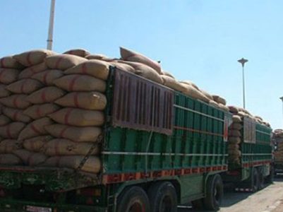 Հալեպի նահանգ 500 տոննա հացահատիկ է հասցվել
