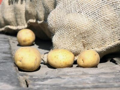 Կարտոֆիլի շուկայում գները կկարգավորվեն աշնանը. Գյուղնախի պարզաբանումը