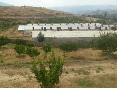 Ռուսական հավկիթը` հայկականի անվան տակ. ՊԵԿ-ը խախտումներ է հայտնաբերել «Հավիցա» ՍՊԸ-ում