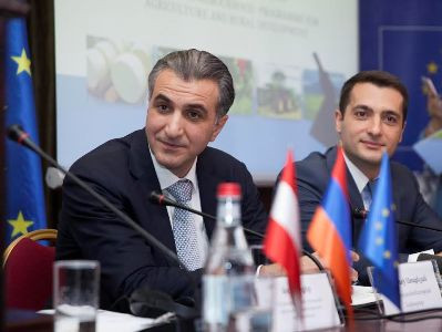 Խաղողի ինքնարժեքը պետք է նվազի, որպեսզի վերամշակողն այդ խաղողը գնի. գյուղնախարար