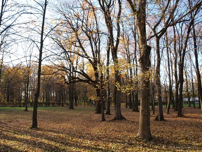 Եղանակը Հայաստանում