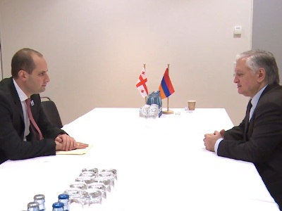 Armenian and Georgian FMs discuss bilateral ties