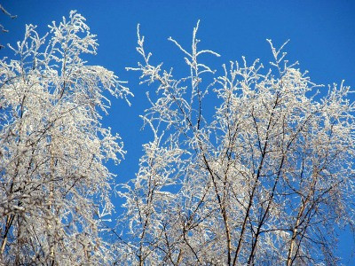 Եղանակը Հայաստանում. շաբաթվա վերջին ցրտերը կնահանջեն, ձյուն է գալու