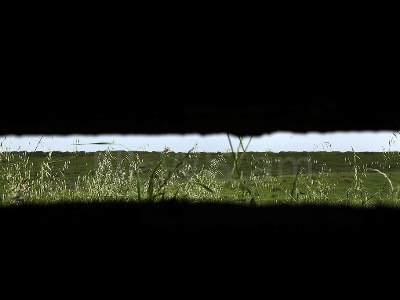 ВС Азербайджана по итогам собственной диверсии потеряли 7 военнослужащих