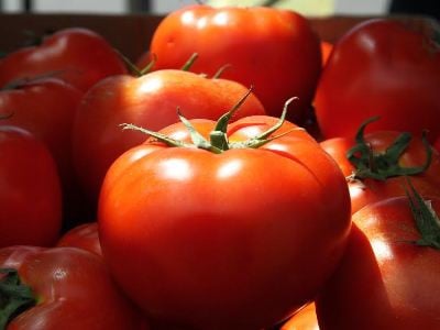 Գիտնականները լոլիկի՝ ավելի քան 50 մլն տարեկան նախնու մնացորդներ են գտել