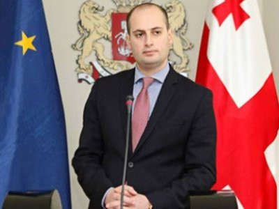 Վրաստանին ՆԱՏՕ-ին անդամակցություն է պետք, ոչ թե անդամության գործողությունների ծրագիր. Միխայիլ Ջանելիձե