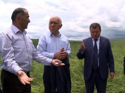 Կոռնիձորի եւ Տեղի դաշտերում կարկտահարության վնասը 80-90% է, բայց հարակից տարածքներում լավ բերք է սպասվում. փոխնախարար