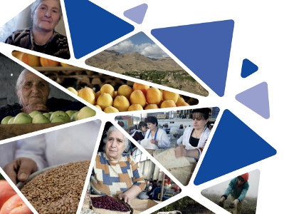 Գյուղական ընտանիքների 27.2 տոկոսում գլխավորը կինն է. ՄԱԿ-ի զեկույց