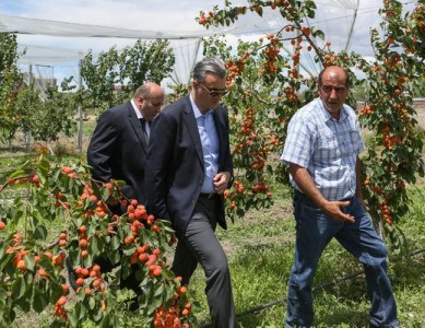 «Առավոտ». Օլիգարխների մոտ «բատրա՞կ» աշխատել, թե՞ գնալ «խոպան». ի՞նչ է ուզում պետությունը
