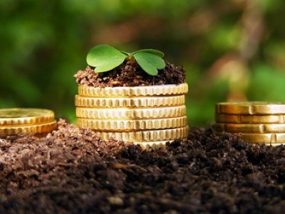 4 տարվա ընթացքում Հայաստանում տրամադրված գյուղատնտեսական վարկերի 15%-ն արտոնյալ է եղել. ԿԲ նախագահ