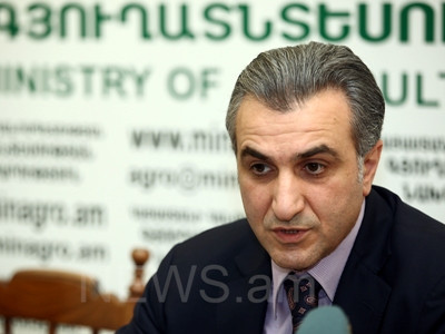 Նախարար. Հայ գյուղացիներին չեն խոչընդոտում Ռուսաստանում ծիրան վաճառել (ֆոտո)