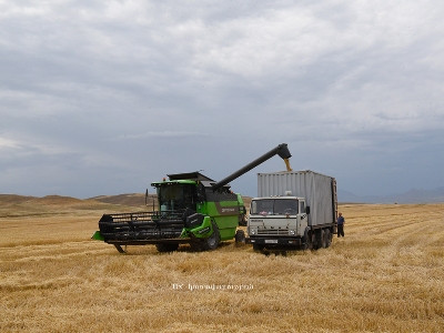 Քաշաթաղում մեկնարկել է բերքահավաքը. Արայիկ Հարությունյանն աշխատանքային շրջայց է կատարել