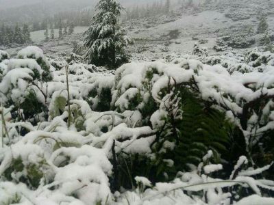 Ուկրաինայում առատ ձյուն է տեղացել