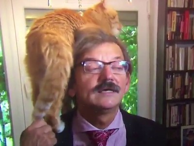 Кот «выразил» свою любовь во время интервью польского историка