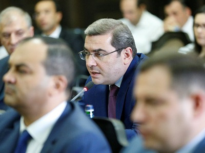 Հատ-հատ ուսումնասիրում ենք այն բոլոր դեպքերը, երբ արտոնության ժամկետից հետո բյուջե վճարումներ չեն կատարվել. Անանյան